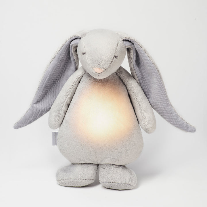 Moonie Silver - The Humming Bunny with a lamp