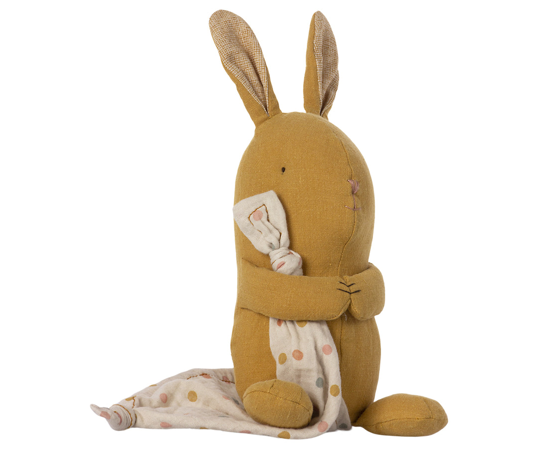 Lullaby friends, Bunny